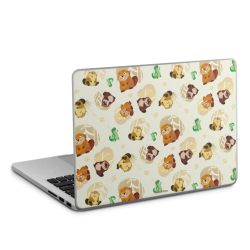 Foils for Laptops matt