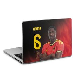 Foils for Laptops matt