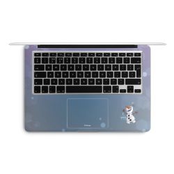 Foils for Laptops matt