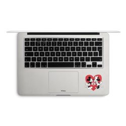 Foils for Laptops matt