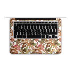 Foils for Laptops matt