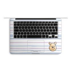 Foils for Laptops matt