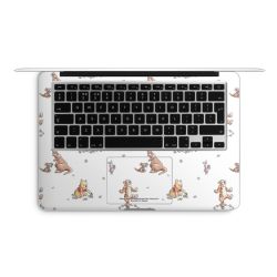 Foils for Laptops matt