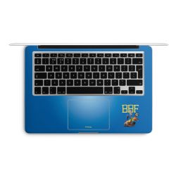 Foils for Laptops matt