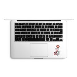 Folien für Laptops matt