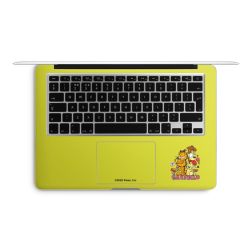 Foils for Laptops matt