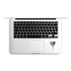Foils for Laptops matt