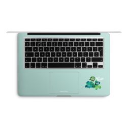 Foils for Laptops matt