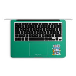 Foils for Laptops matt