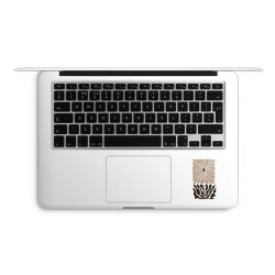 Foils for Laptops matt