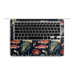 Foils for Laptops matt