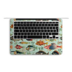 Foils for Laptops matt