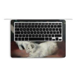 Foils for Laptops matt