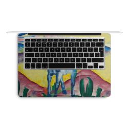 Foils for Laptops matt