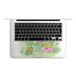 Foils for Laptops matt