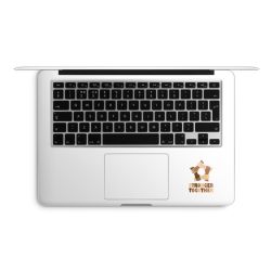 Foils for Laptops matt