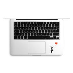 Foils for Laptops matt
