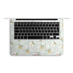 Foils for Laptops matt