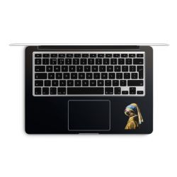 Foils for Laptops matt