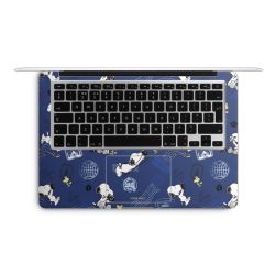 Foils for Laptops matt