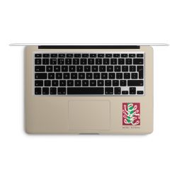 Foils for Laptops matt