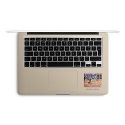 Foils for Laptops matt