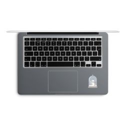 Foils for Laptops matt