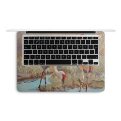 Foils for Laptops matt