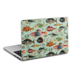 Foils for Laptops matt