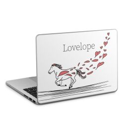 Foils for Laptops matt