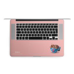 Foils for Laptops matt