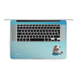 Foils for Laptops matt