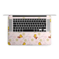 Foils for Laptops matt