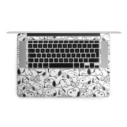 Foils for Laptops matt