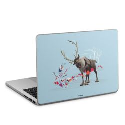 Foils for Laptops matt