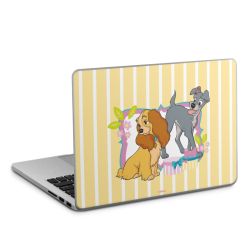 Foils for Laptops matt