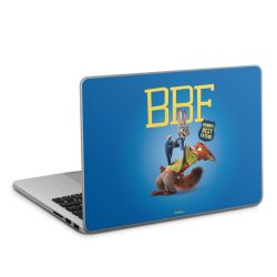 Foils for Laptops matt