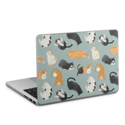 Foils for Laptops matt