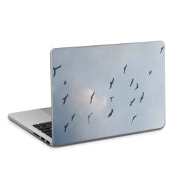 Foils for Laptops matt