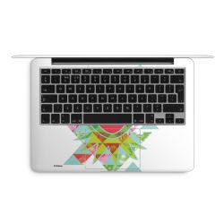 Foils for Laptops matt