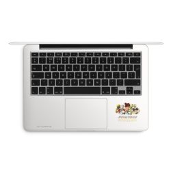 Folien für Laptops matt