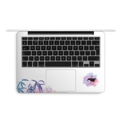 Foils for Laptops matt