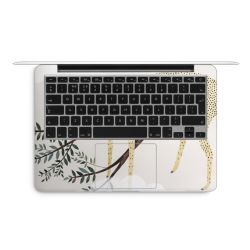 Foils for Laptops matt