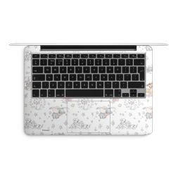 Foils for Laptops matt