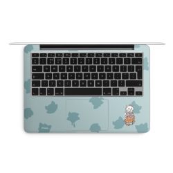 Foils for Laptops matt