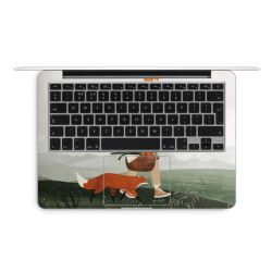 Foils for Laptops matt