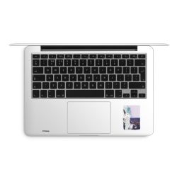 Foils for Laptops matt