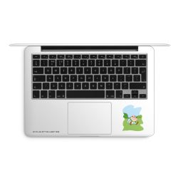 Folien für Laptops matt