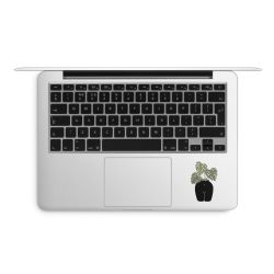 Foils for Laptops matt