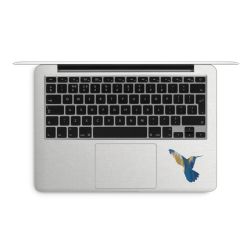 Foils for Laptops matt